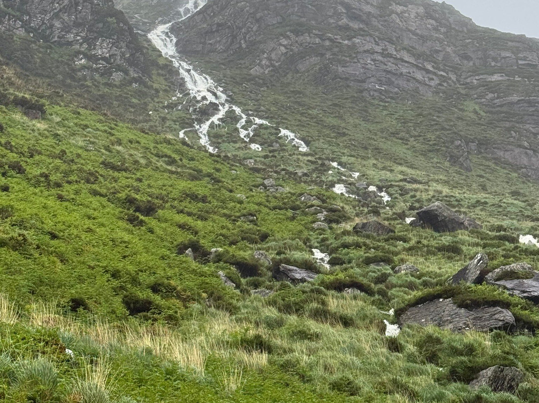 Glanteenassig Wood-Castlegregory必去景点