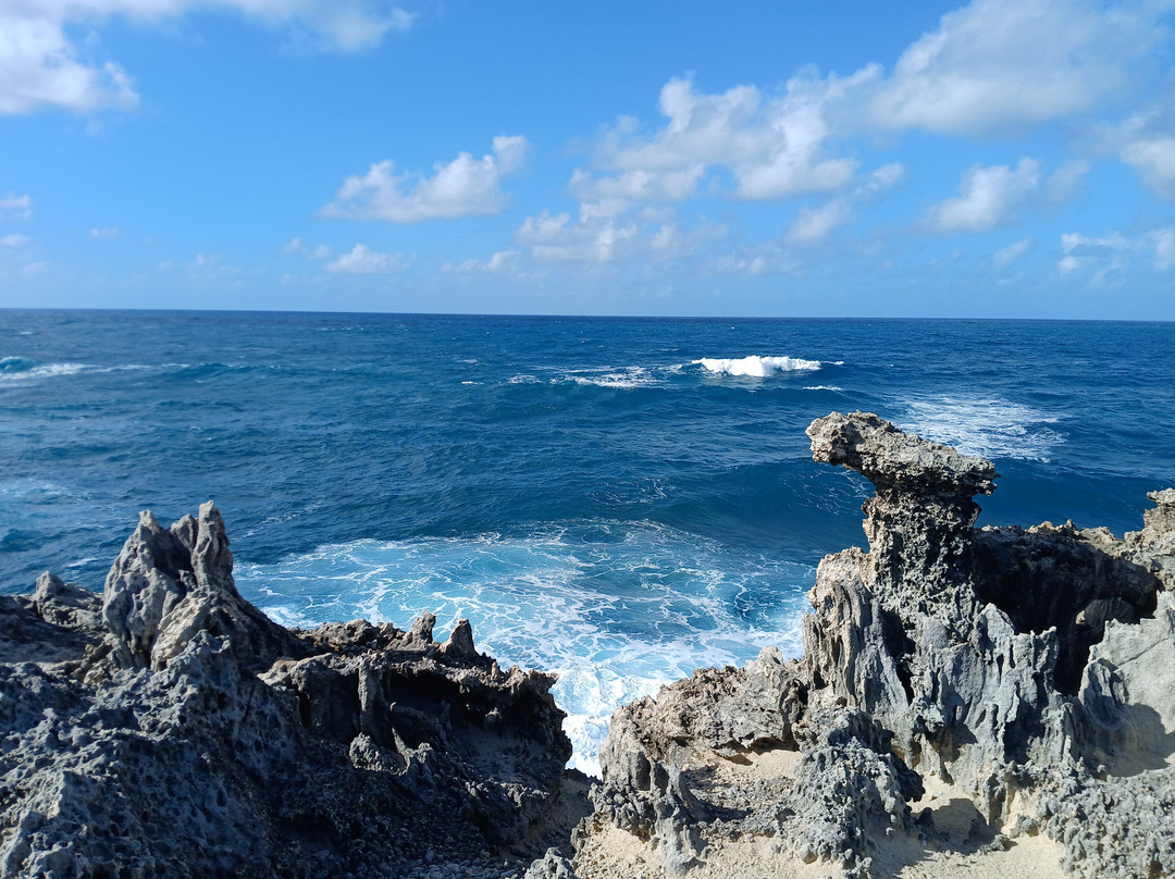 Joyride Mauritius-Black River必去景点