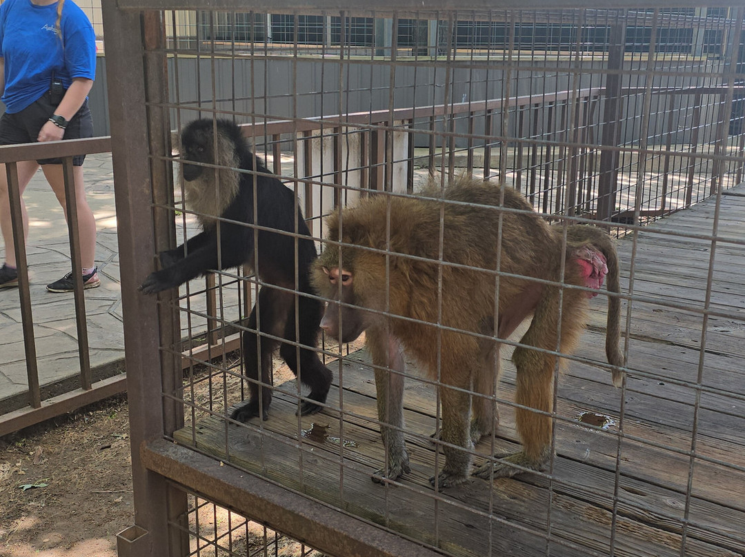 Safari Zoological Park-Caney必去景点
