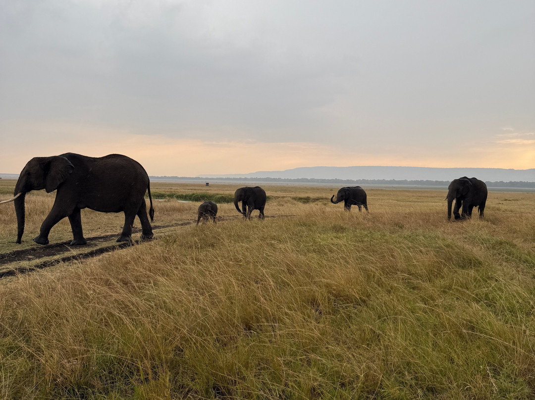 Brighte Maasai Adventures-Mara North Conservancy必去景点