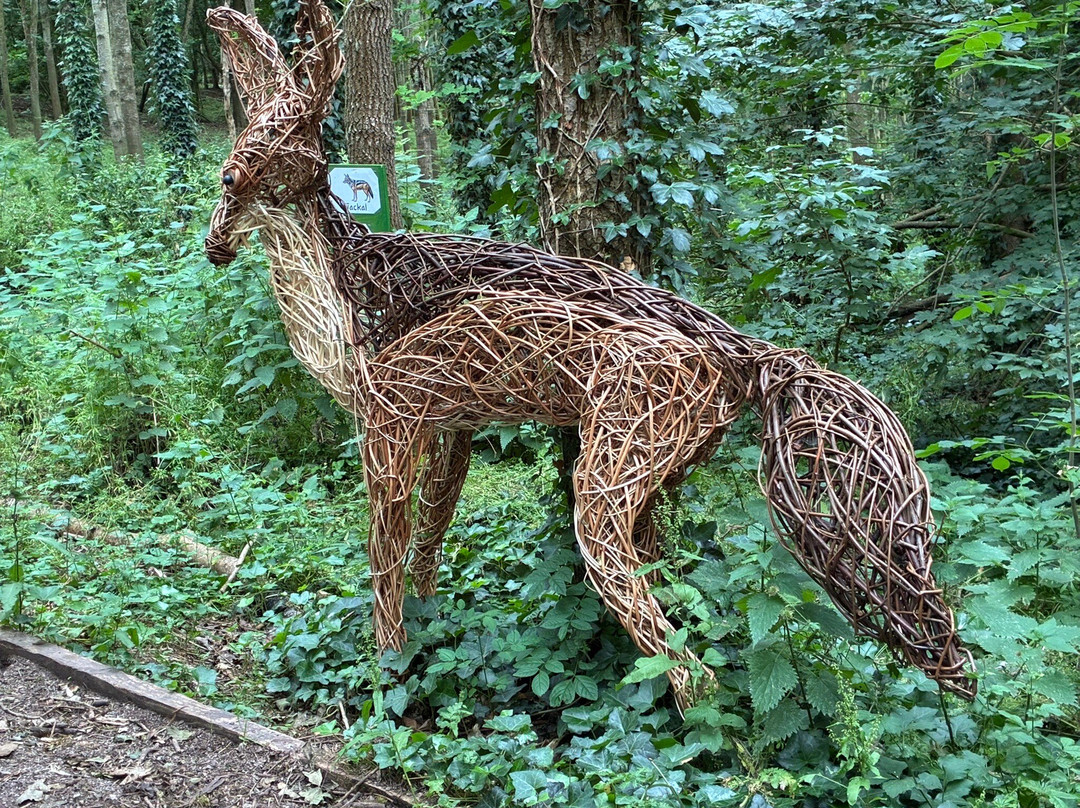 Coates English Willow Visitor Centre-汤顿必去景点