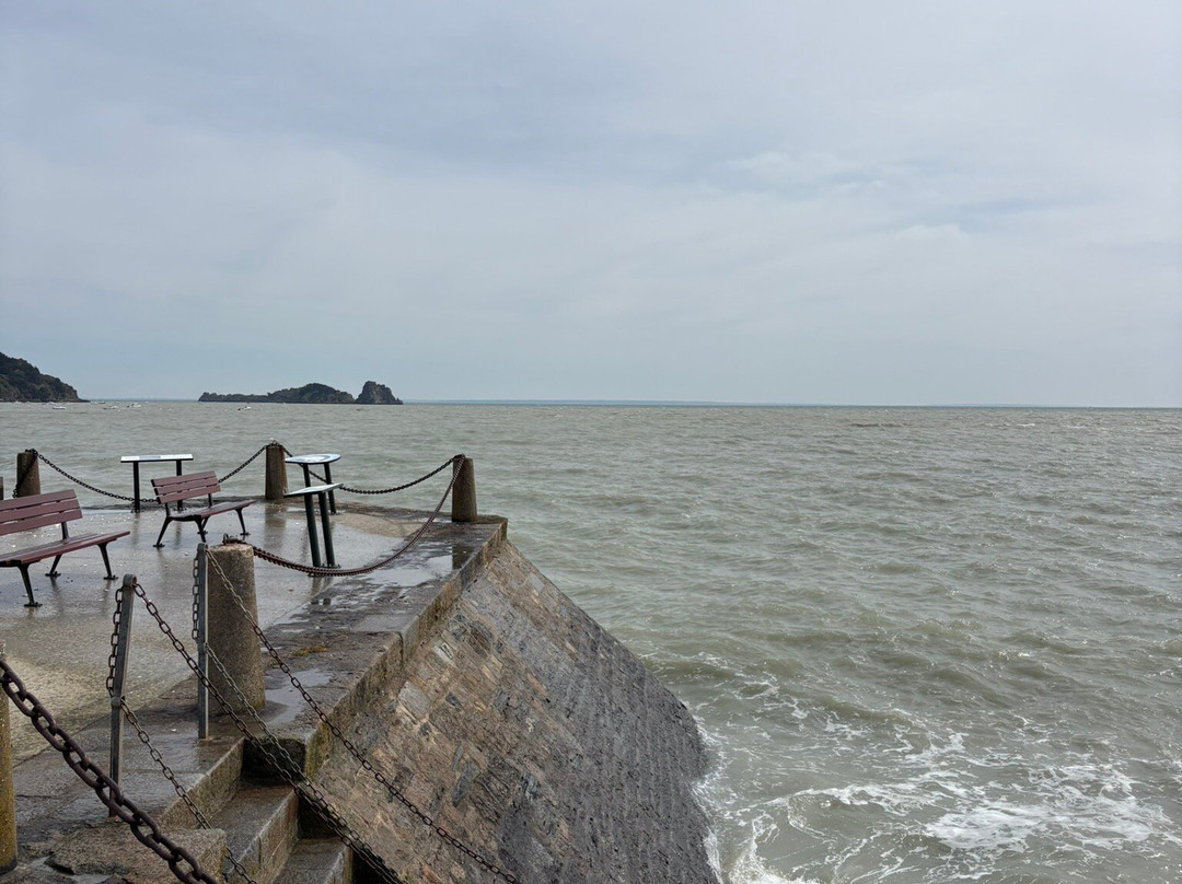 Port de le Houle-康卡勒必去景点