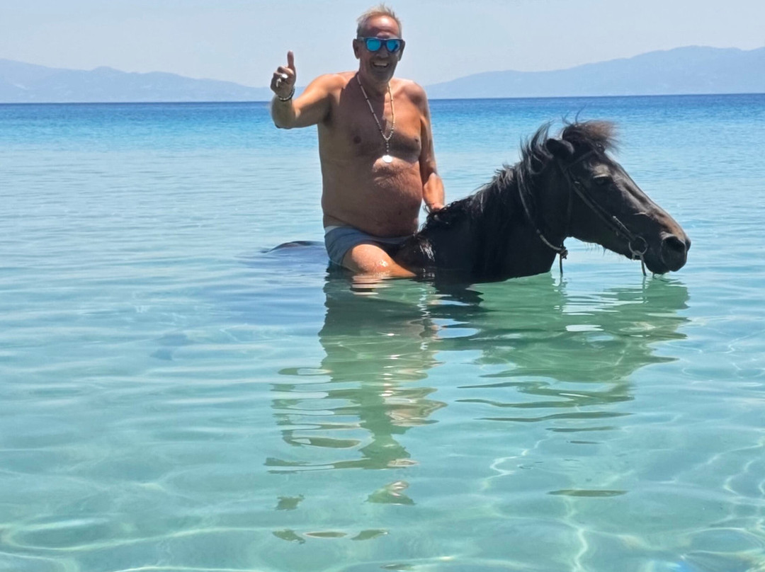 Panouris Ranch-Samos Town必去景点