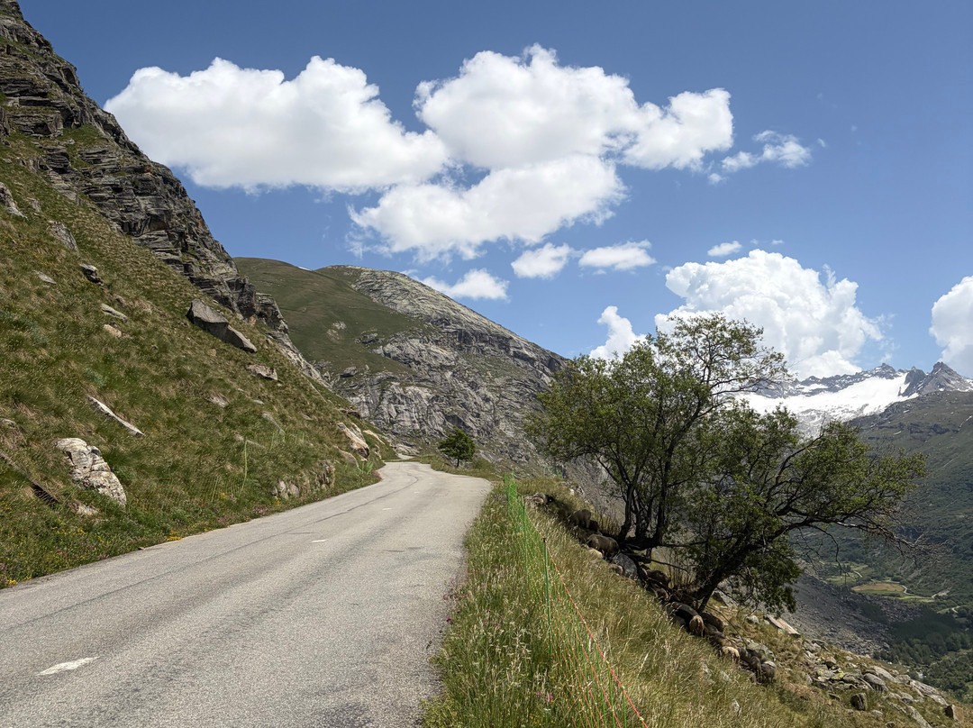 Alpine Cadence Cycling-Bellentre必去景点