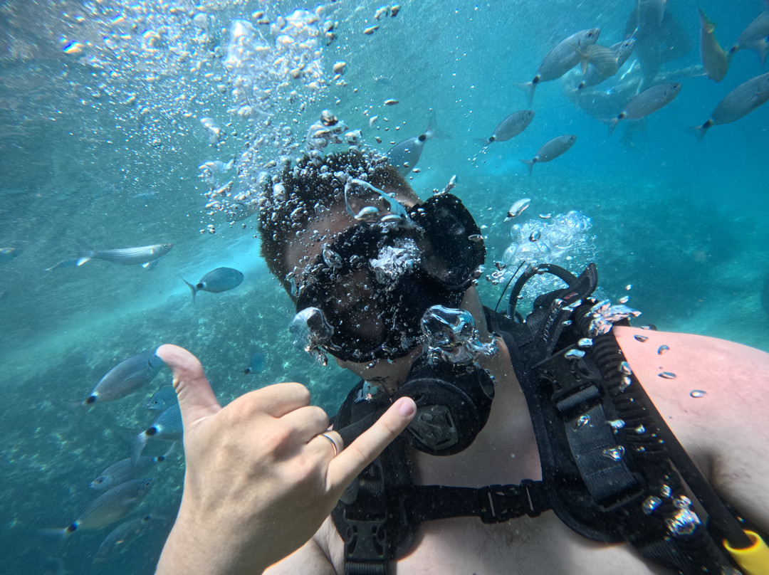 Octopus Diving Center-凯梅尔必去景点
