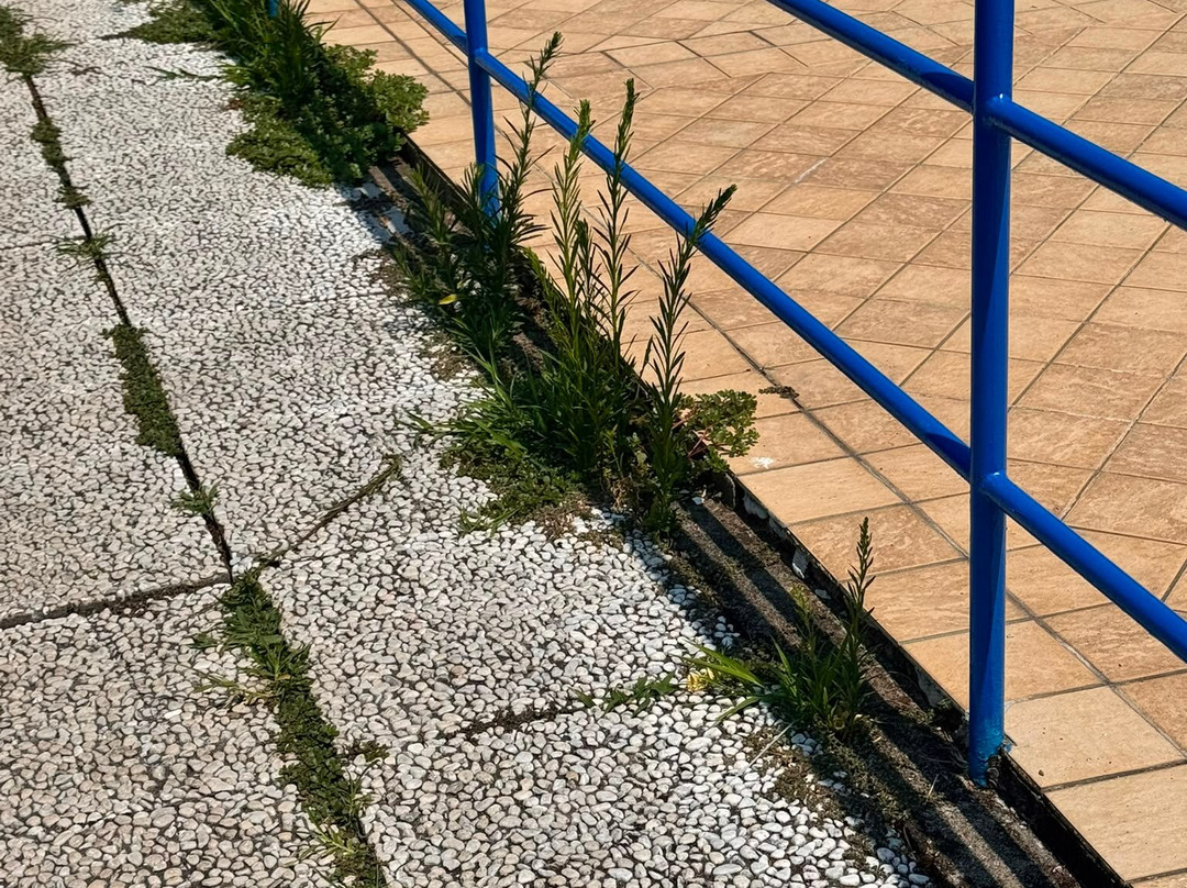 Lido Di Meina Swimming Pool-Meina必去景点