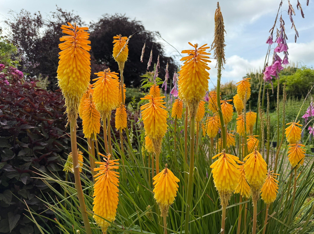 National Botanic Garden of Wales-Llanarthney必去景点