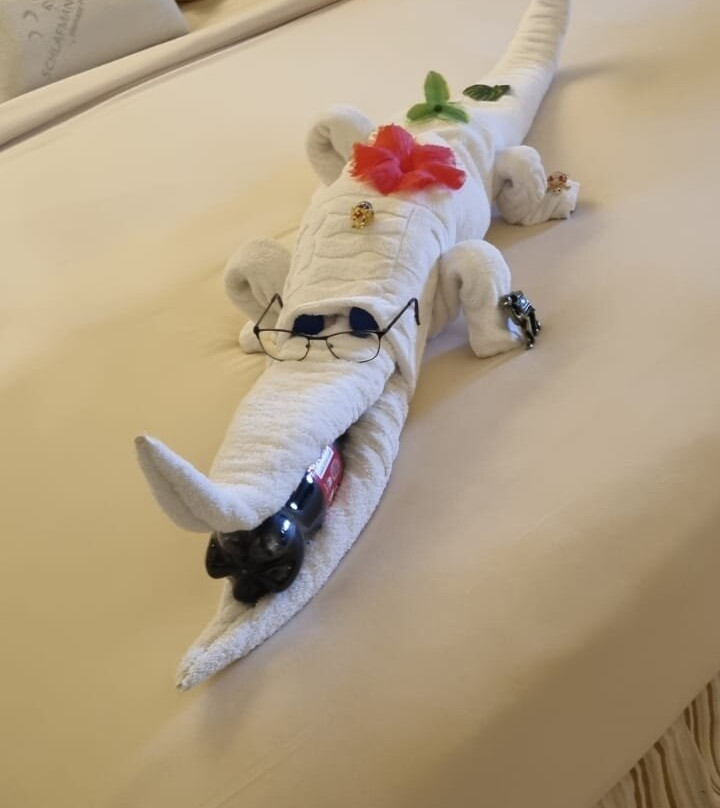 The Makadi Spa Hotel主图