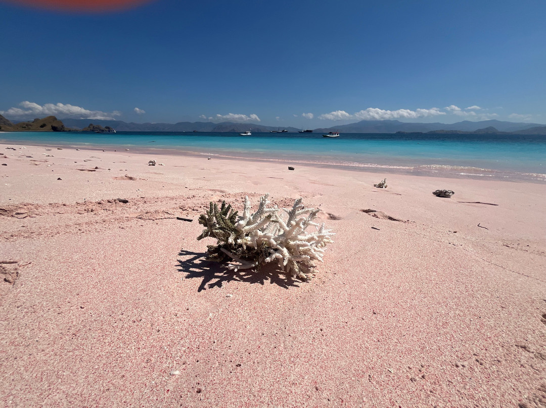 Pink Beach-科莫多必去景点