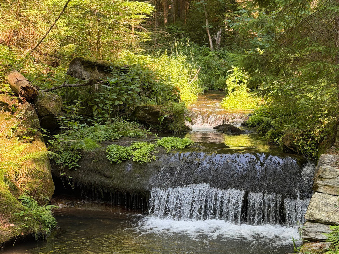 Rešov waterfalls-Rymarov必去景点