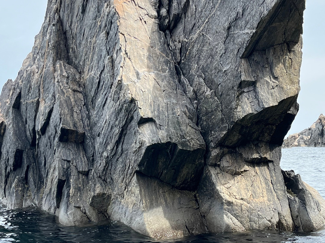 Capt. Mark's Whale and Seal Cruise-Pleasant Bay必去景点