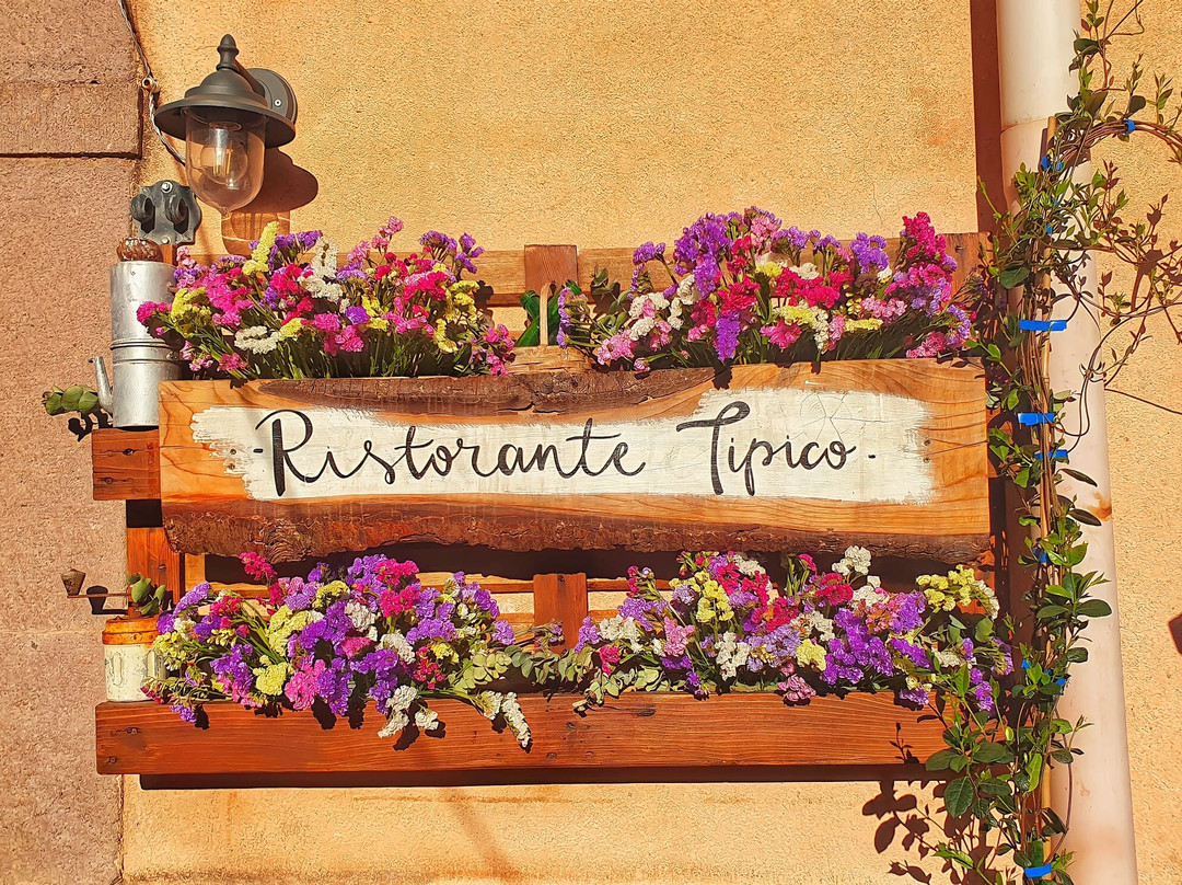 Il Tipico