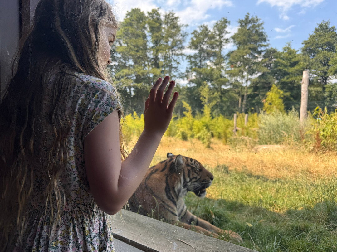Safari Lodges At West Midlands Safari Park主图