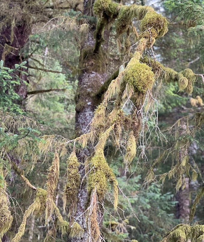 Bartlett Cove-Glacier Bay National Park and Preserve必去景点