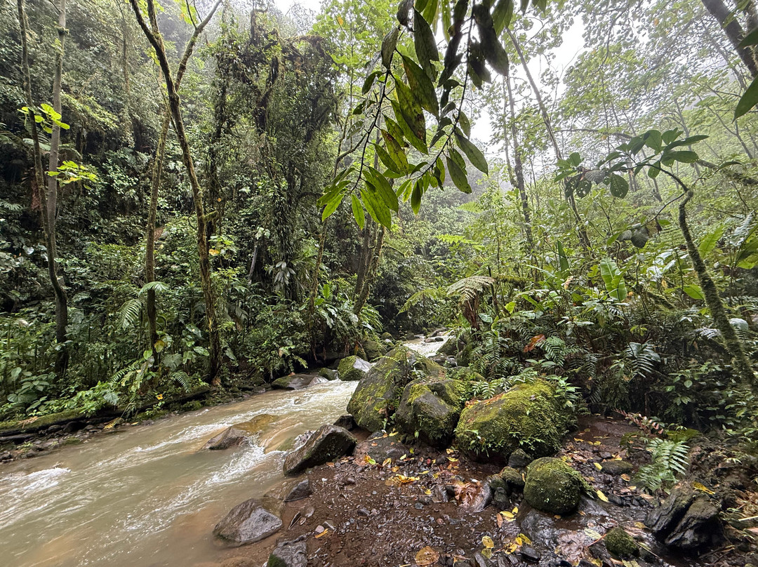 Blue Falls of Costa Rica-Bajos del Toro必去景点