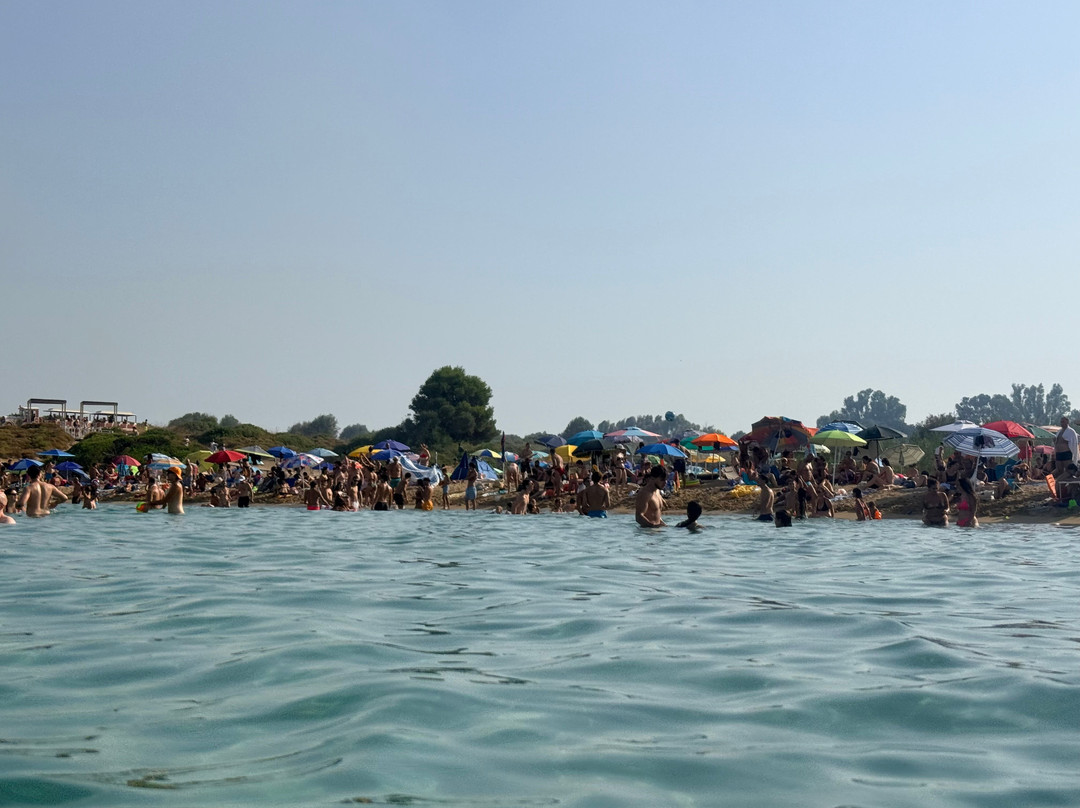 Spiaggia di Arenella-Arenella必去景点