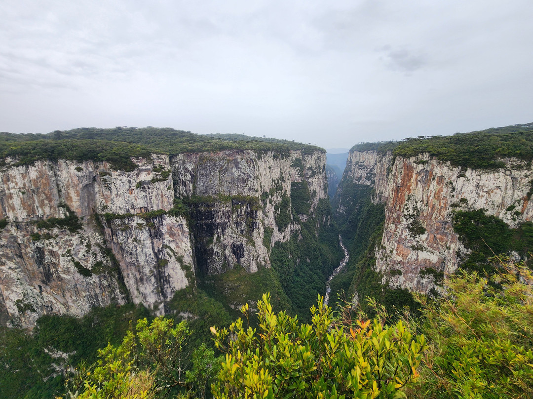 Aparados da Serra Tours-Cambará do Sul必去景点