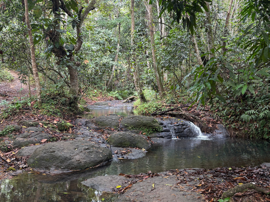 La Cascade de Bis-Sainte Rose必去景点