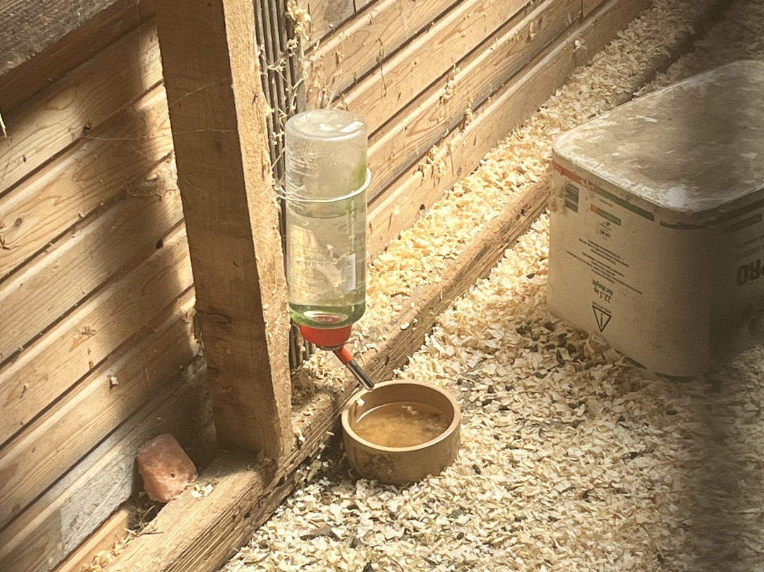 Lane's Garden Centre Open Farm-德比必去景点
