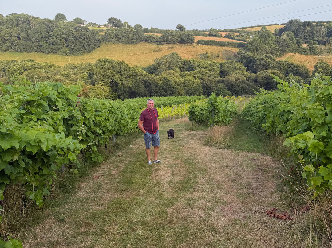 Looe Valley Vineyard-卢城必去景点