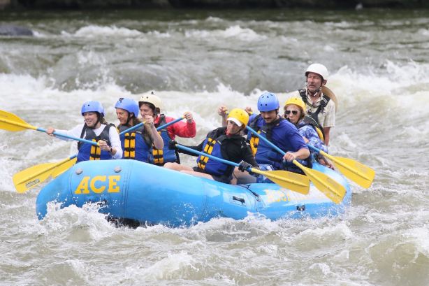 ACE Adventure Resort-旅行者