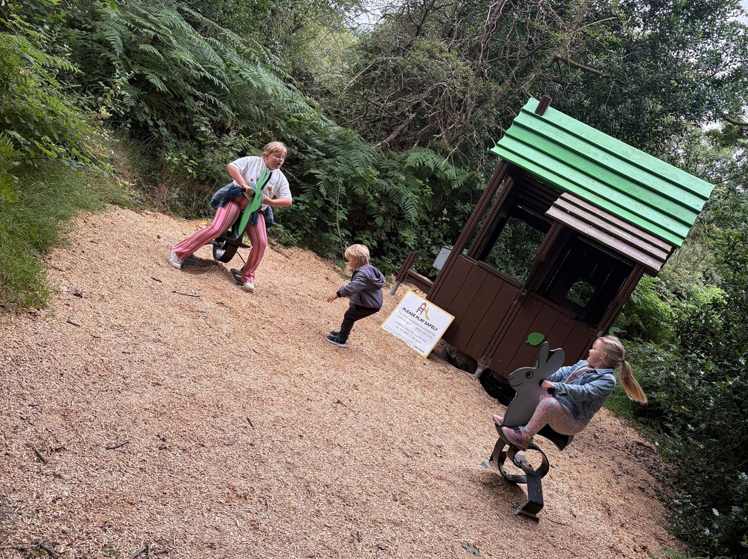 The Ark Open Farm-Newtownards必去景点