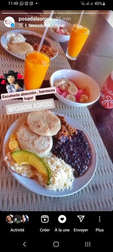 Posada Las Ross-旅行者