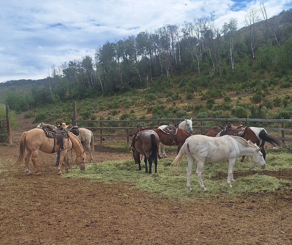 Del's Triangle 3 Ranch-Clark必去景点