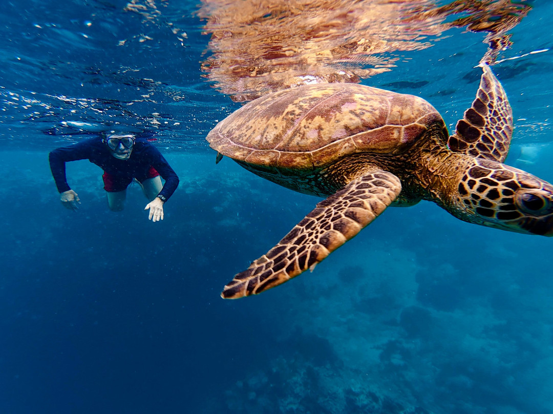 Sea Pace Rarotonga-堤堤卡维加必去景点