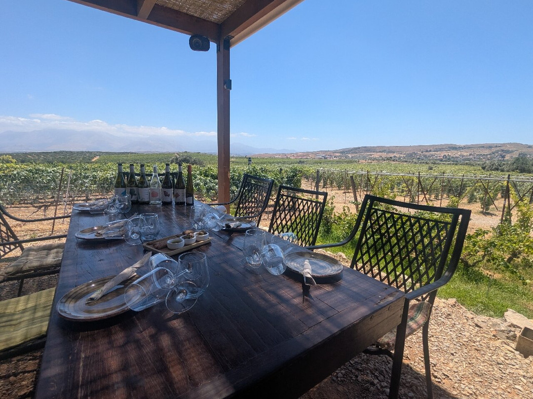 Lyrarakis Winery-伊拉克利翁必去景点