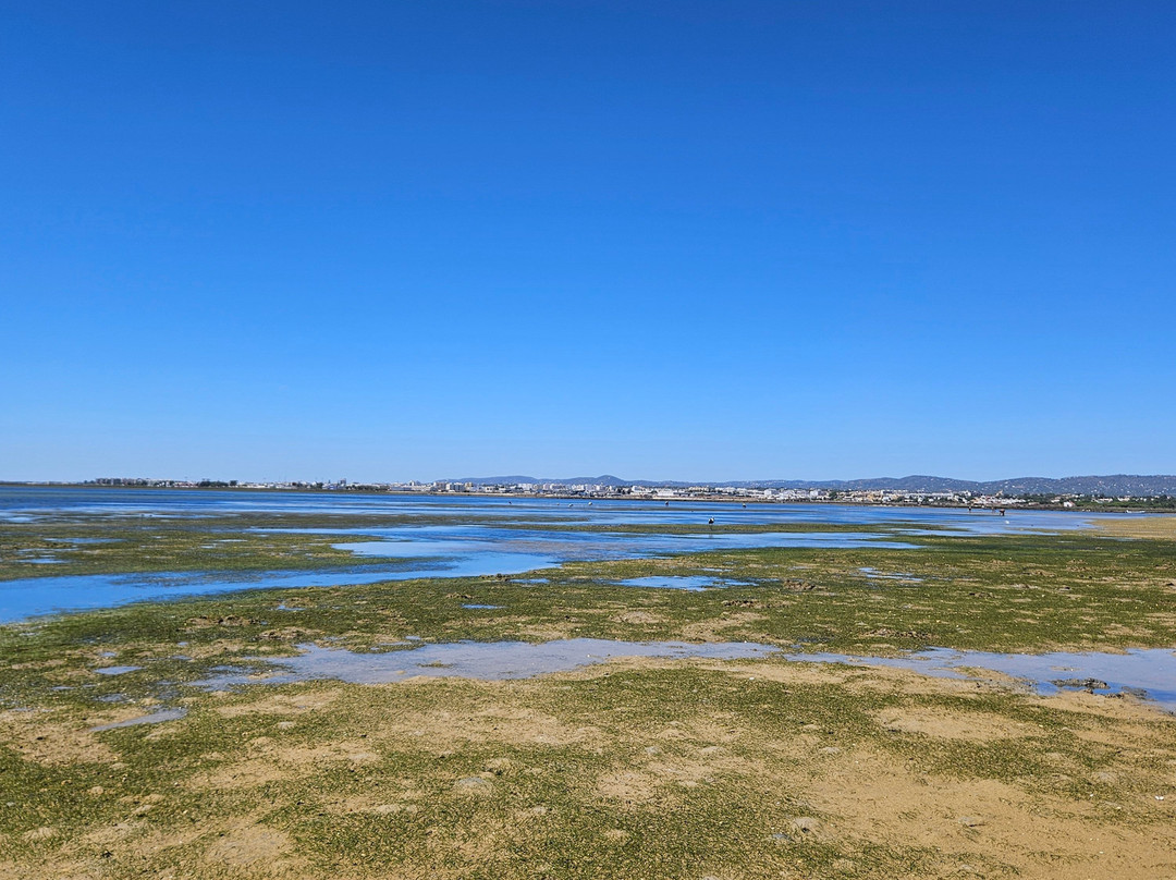 Rota das Ilhas - Boat Tours-奥良必去景点