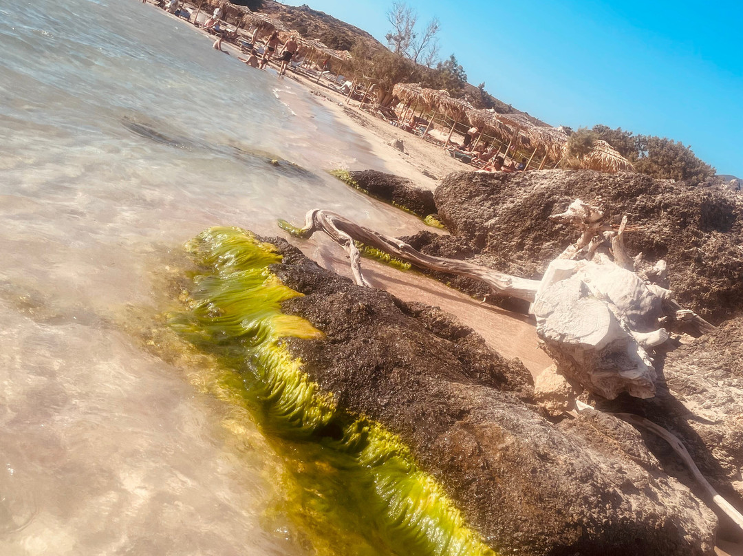 Elafonissi Beach-拉格尼西必去景点