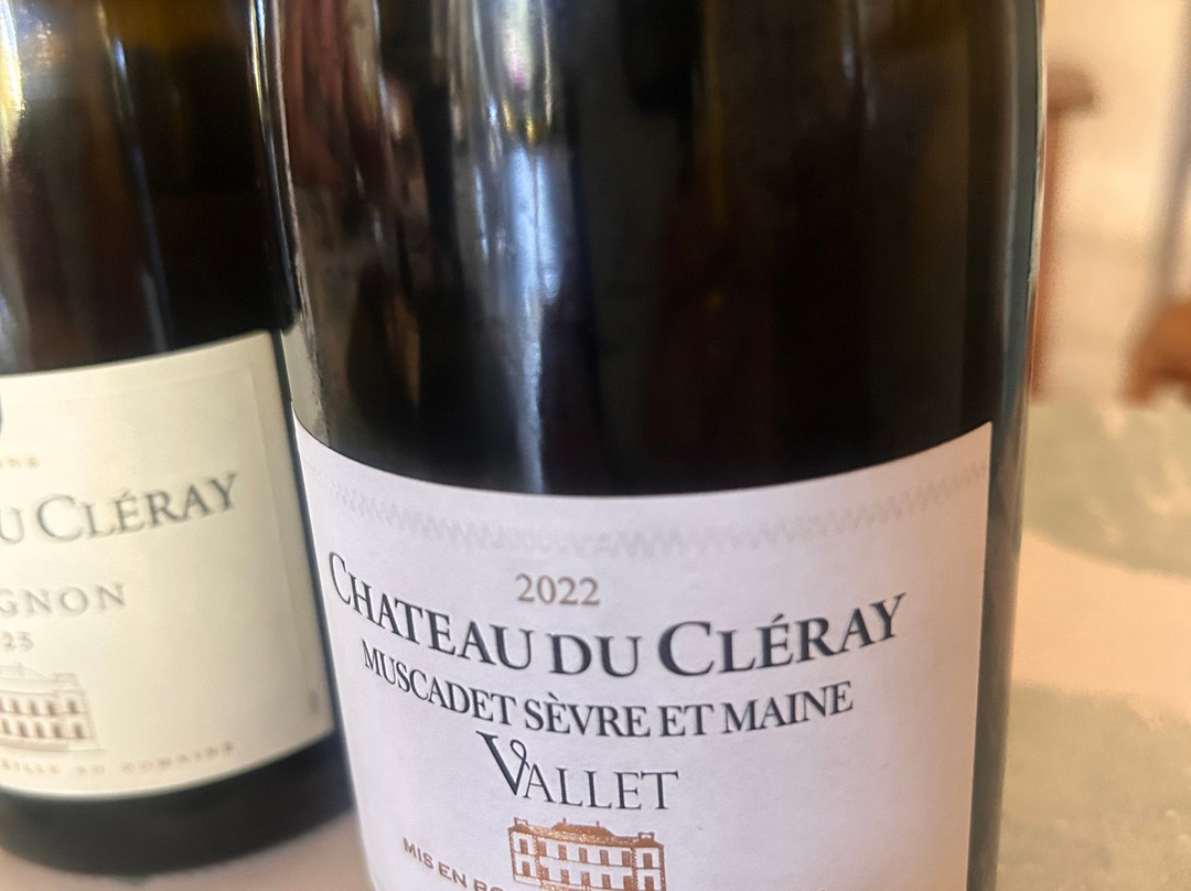 Le Château du Cleray - Sauvion-Vallet必去景点