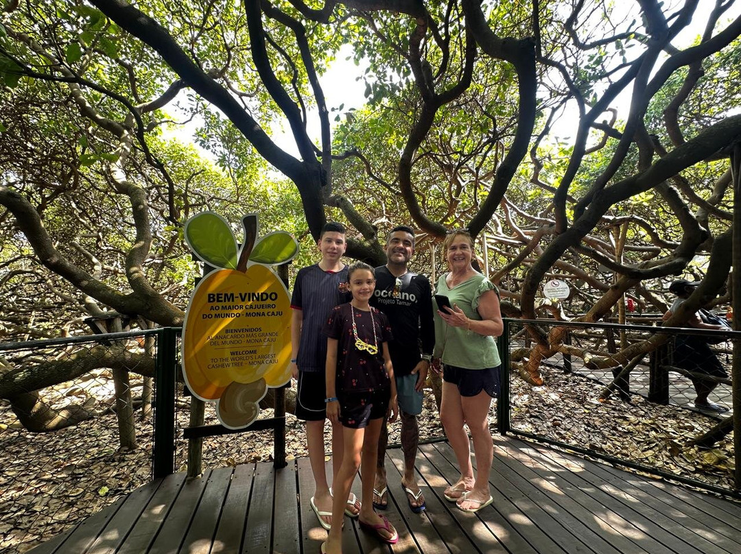 ELOturismo-Natal必去景点