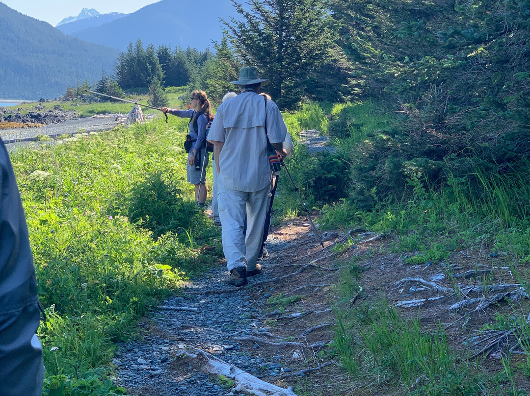 Chilkat Bald Eagle Preserve-海恩斯必去景点