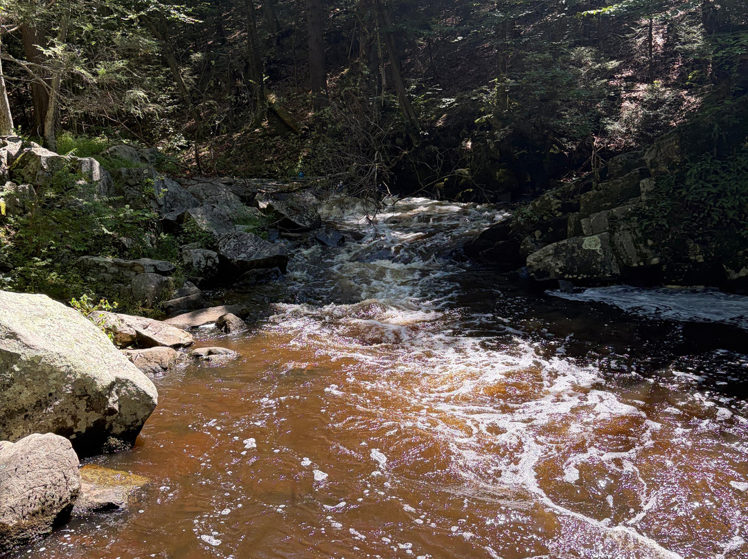 Hacklebarney State Park-Long Valley必去景点