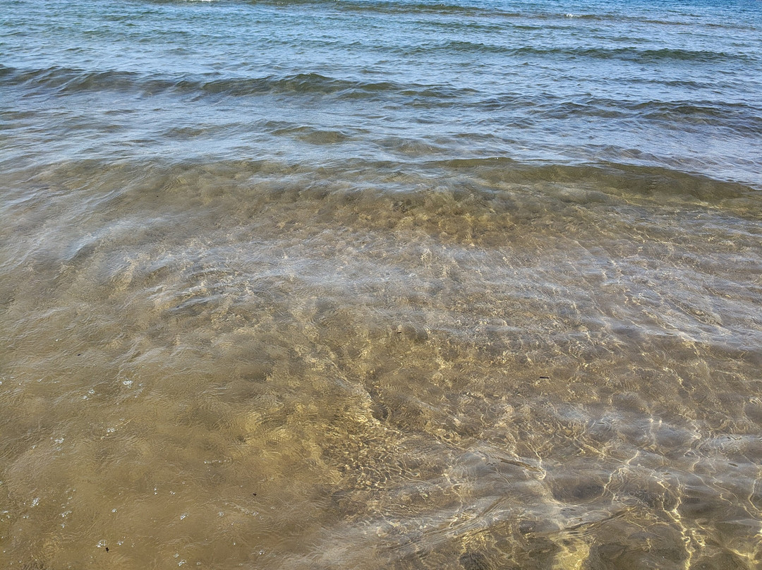 Spiaggia di Baratti-Baratti必去景点