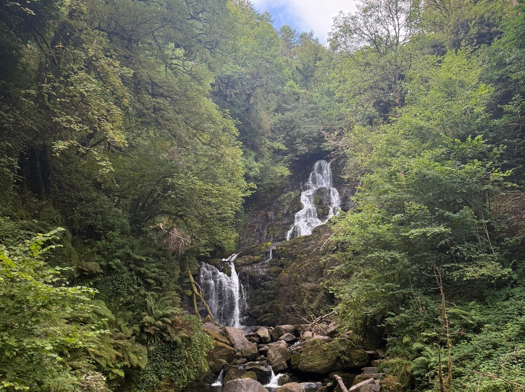 O'Callaghans Coaches & Chauffeur Services-基拉尼必去景点