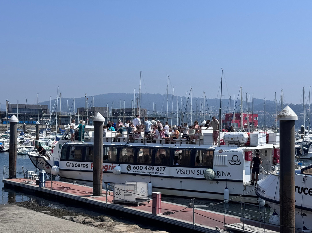 Cruceros Pelegrin