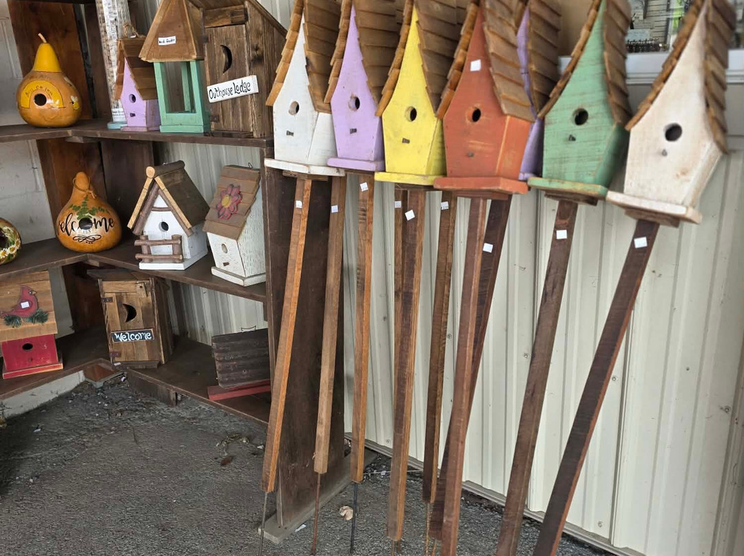 Li'l Country Store and Miniature Horse Farm-Ronks必去景点