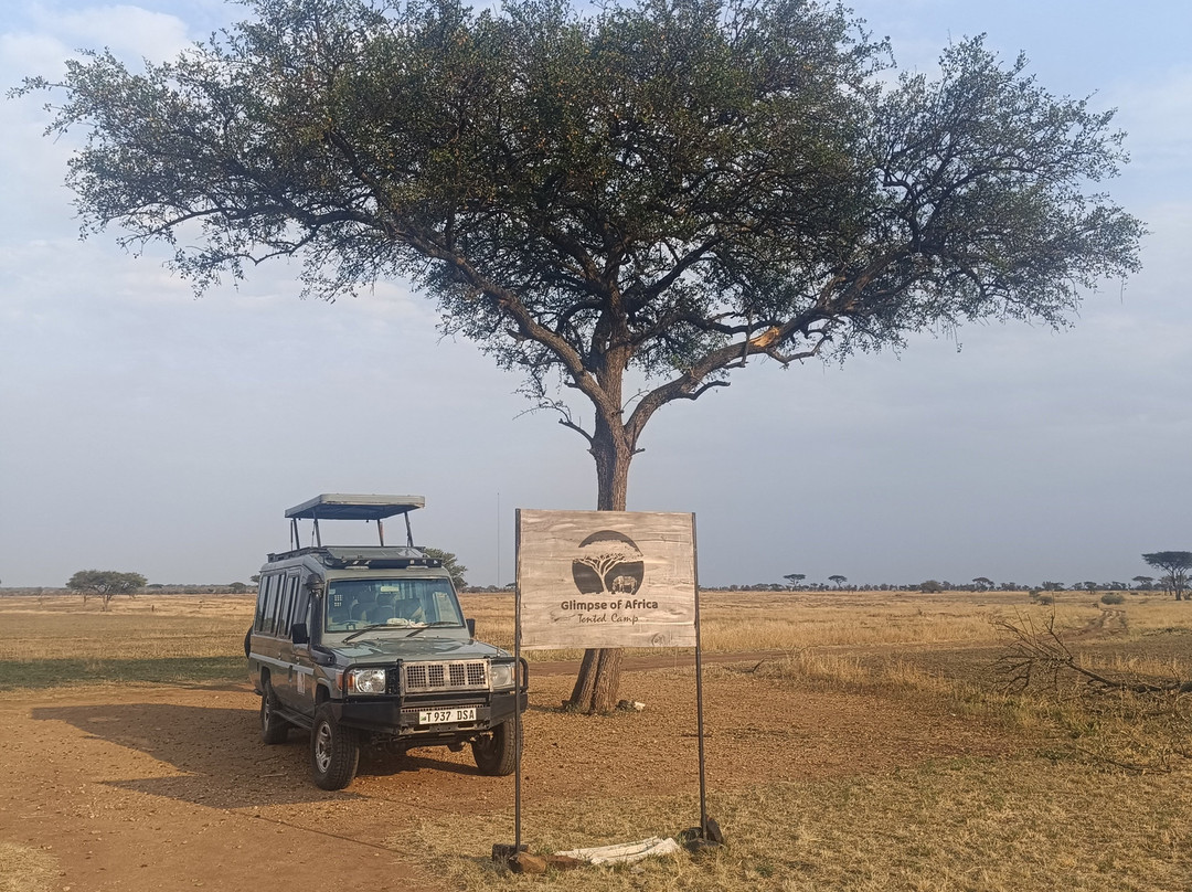 Glimpse of Africa Tented Camp-Ikoma必去景点