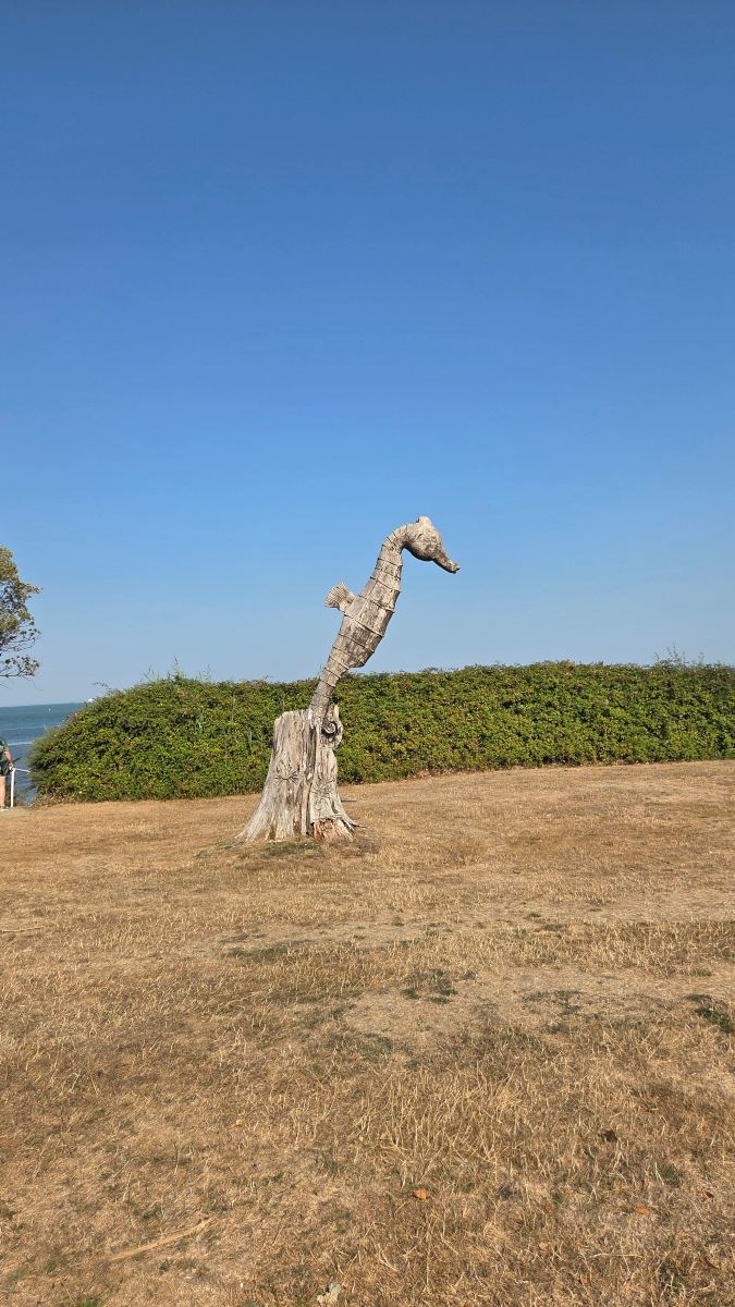 Warner Hotels - Bembridge Coast-旅行者