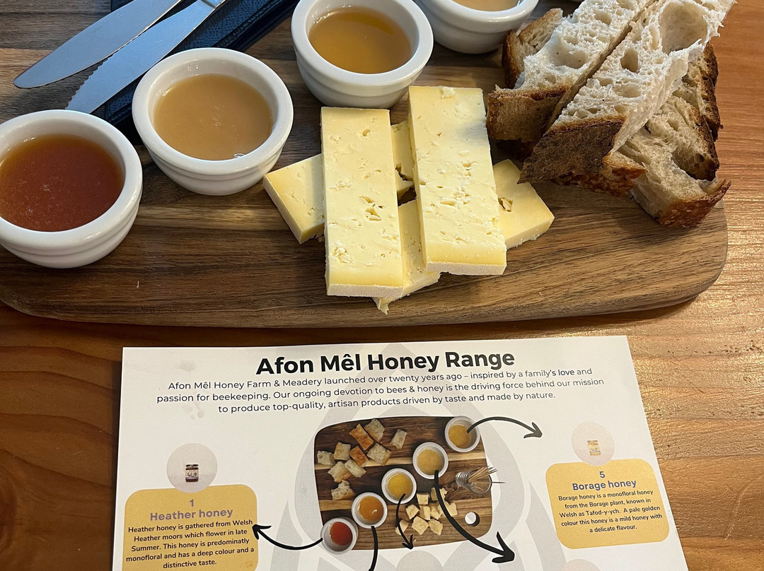 New Quay Honey Farm-Cross Inn必去景点