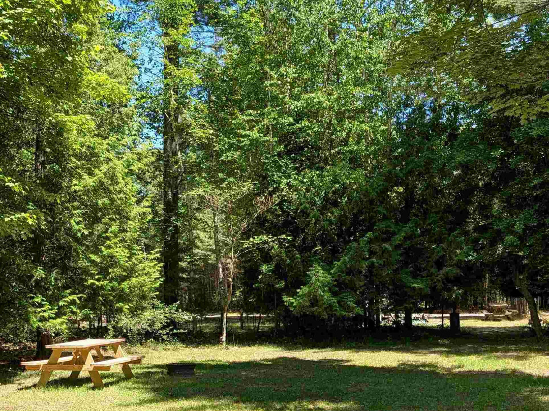 Huron Pines Campground
