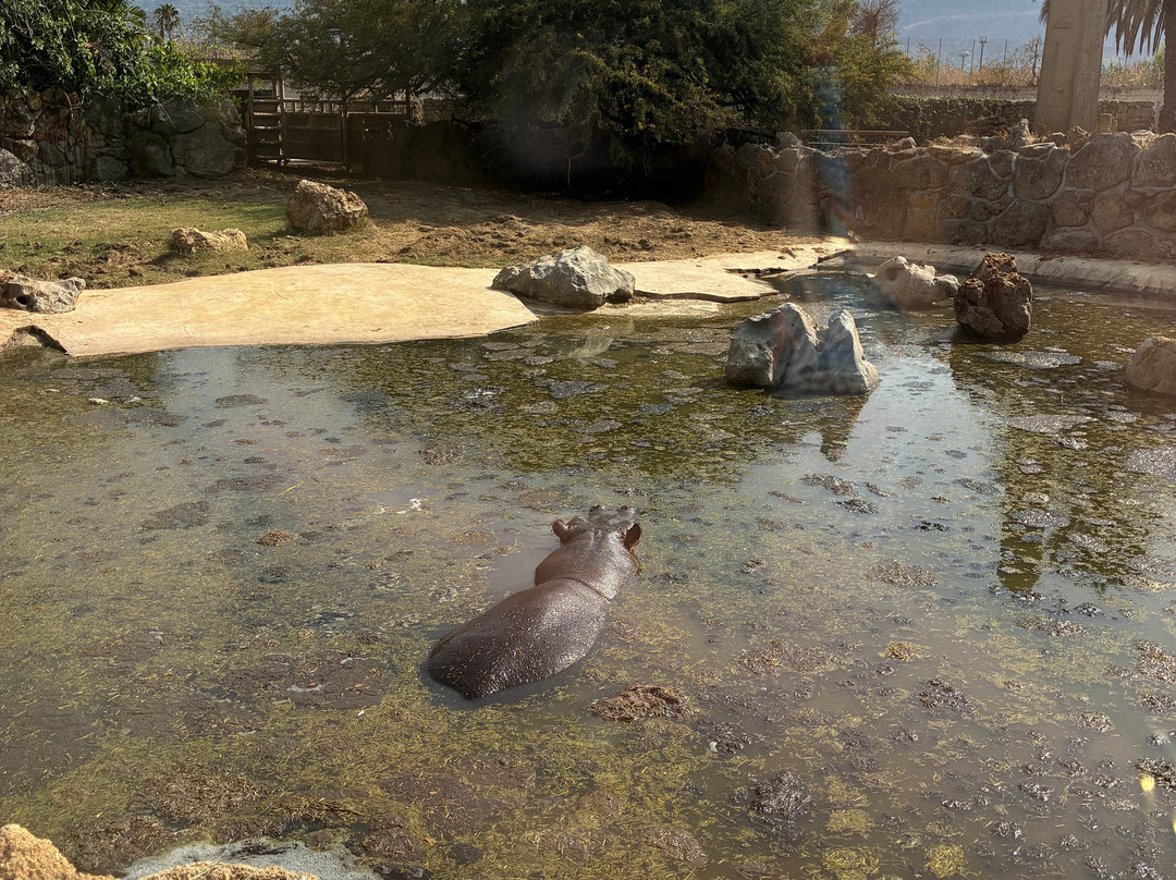 Bioparco Di Sicilia-Carini必去景点
