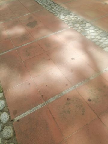 埃斯特拉俱乐部及美容中心-旅行者