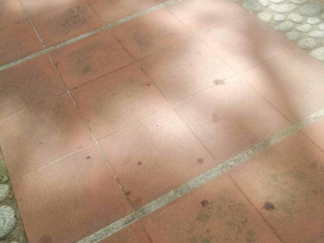 埃斯特拉俱乐部及美容中心主图