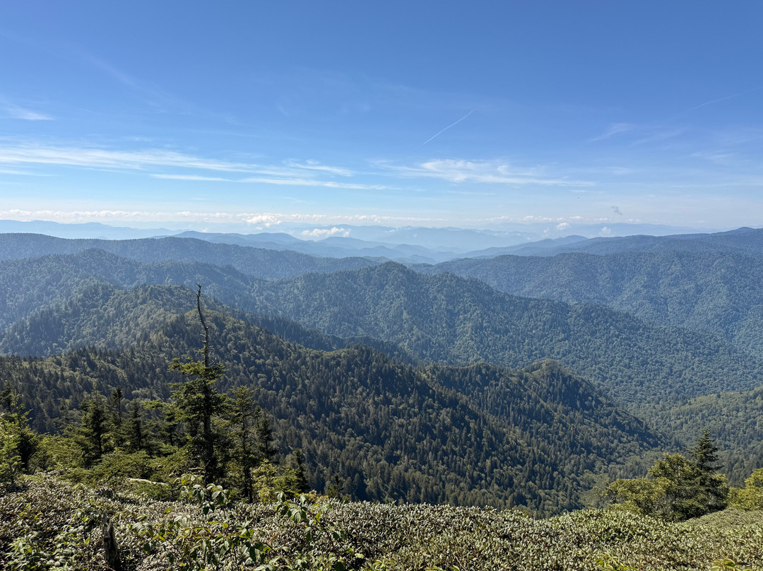 Mount LeConte-大雾山国家公园必去景点
