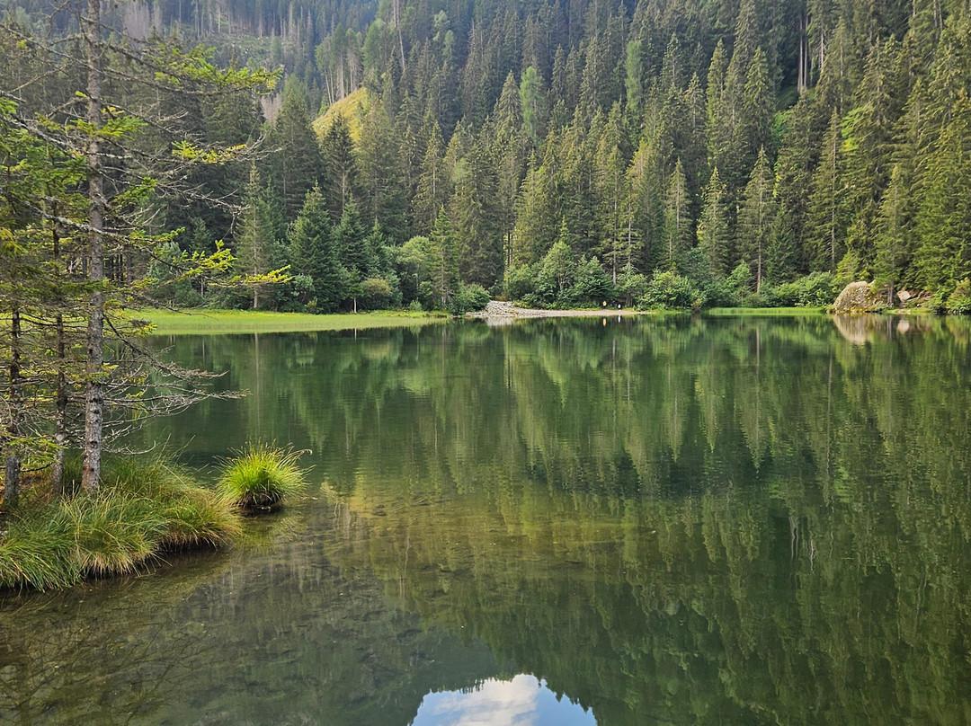 Lago dei Caprioli-Pellizzano必去景点