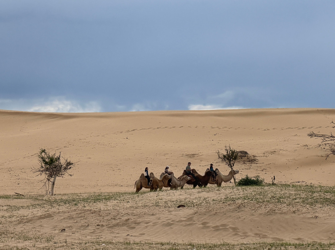 Elsen Tasarkhai Sand Dune-Bulgan必去景点
